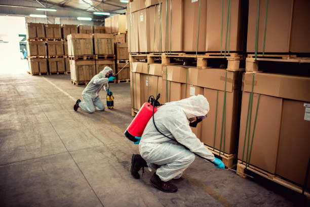 Best Residential Pest Control  in Kingstown, MD