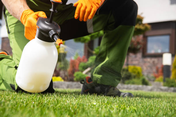 Best Commercial Pest Control Services  in Kingstown, MD