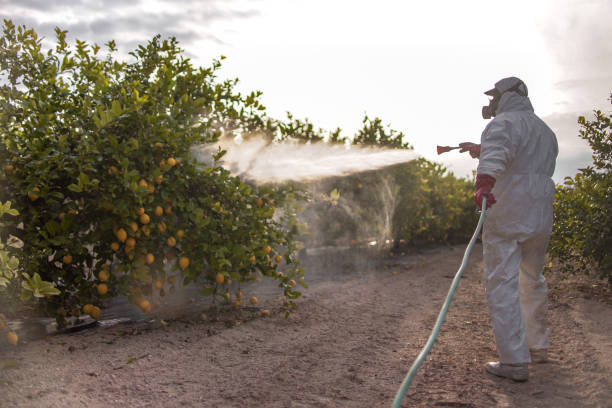Best Pest Control for Restaurants  in Kingstown, MD