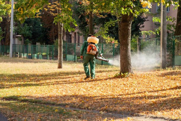 Wasp Removal Services in Kingstown, MD