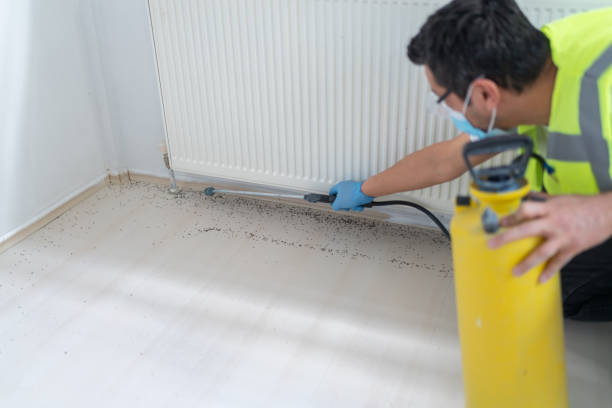 Best Exterminator Services  in Kingstown, MD